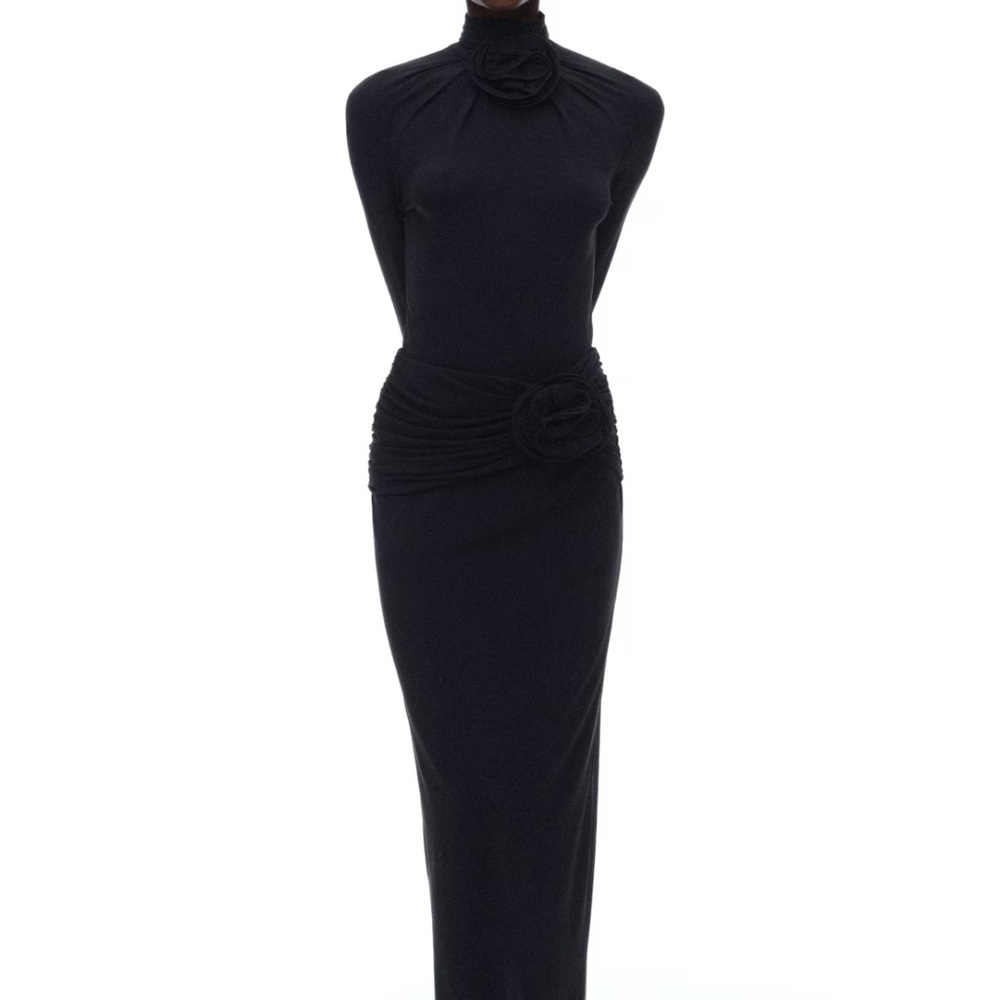 Magda Butrym x HM maxi skirt